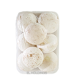 <시장상품>양송이(대/TR)약300g