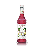 MONIN(모닌)_그래나딘시럽(700ml)