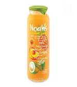 <재고미보유>노아주스_넥타린코코넛파인애플(260ml*12)
