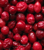 <재고미보유>선인_당적크란베리/크랜베리(500g*4/냉동)