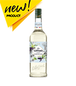 지파드_케인슈거시럽(1L)