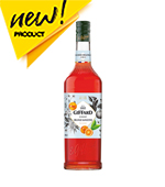 지파드_블러드오렌지시럽(1L)