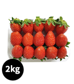 <시장상품>과일_딸기(3*5/중/약500g*4팩/2kg)
