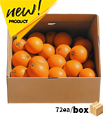 <시장상품>과일/오렌지(미국&sbquo;남아공&sbquo;호주/72과)Box